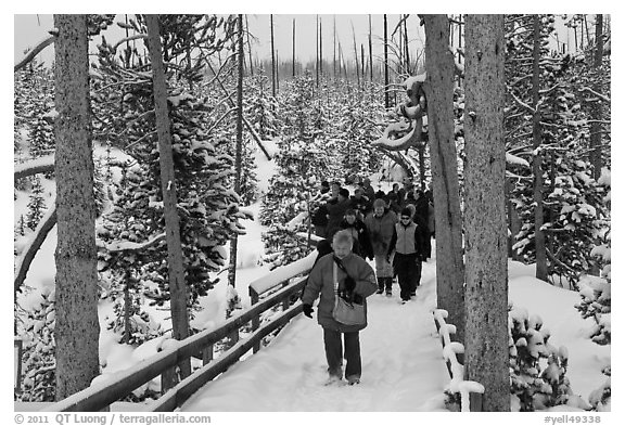 Tourists on boardwalk in winter. Yellowstone National Park, Wyoming, USA.