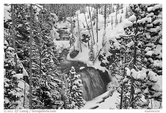 Snowy forest and Kepler Cascades. Yellowstone National Park (black and white)