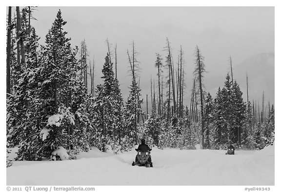 Snowmobiles. Yellowstone National Park (black and white)