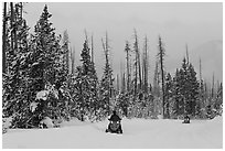 Snowmobiles. Yellowstone National Park, Wyoming, USA. (black and white)