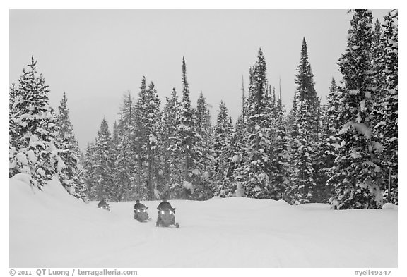 Snowmobiling on snowy day. Yellowstone National Park (black and white)