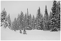 Snowmobiling on snowy day. Yellowstone National Park, Wyoming, USA. (black and white)