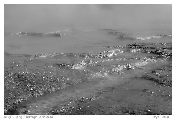 Yellow mineral deposits in a hot springs, Midway Geyser basin. Yellowstone National Park (black and white)