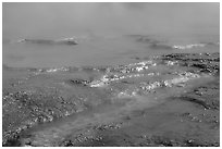 Yellow mineral deposits in a hot springs, Midway Geyser basin. Yellowstone National Park, Wyoming, USA. (black and white)