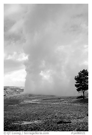 Steam column from Old Faithful Geyser. Yellowstone National Park, Wyoming, USA.