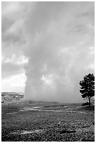 Steam column from Old Faithful Geyser. Yellowstone National Park ( black and white)