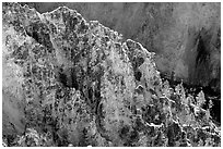 Rock wall in Grand Canyon of the Yellowstone. Yellowstone National Park, Wyoming, USA. (black and white)