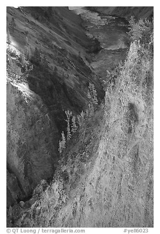 Wall and River in Grand Canyon of the Yellowstone. Yellowstone National Park, Wyoming, USA.