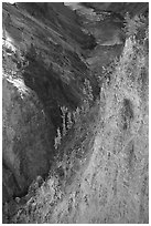 Wall and River in Grand Canyon of the Yellowstone. Yellowstone National Park ( black and white)