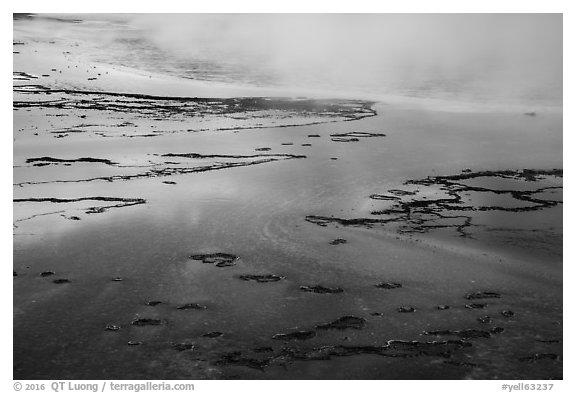 Bacterial mats, Grand Prismatic Springs. Yellowstone National Park (black and white)