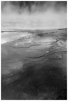 Microbial mat and steam, Grand Prismatic Springs. Yellowstone National Park ( black and white)