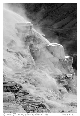 Canary Springs and hills. Yellowstone National Park (black and white)