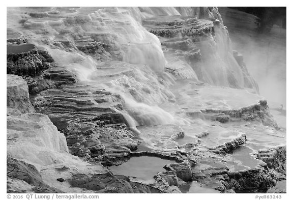 Travertine terraces, Canary Springs. Yellowstone National Park (black and white)