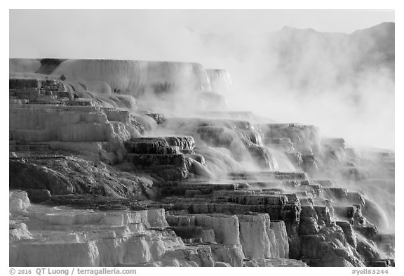 Canary Springs and mountains. Yellowstone National Park (black and white)