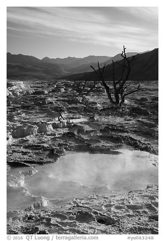 Main Terrace, Mammoth Hot Springs, morning. Yellowstone National Park (black and white)