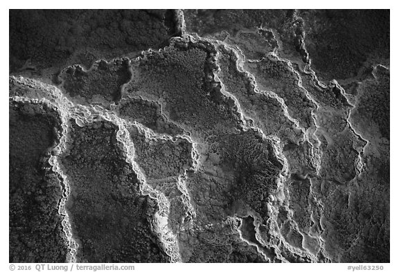 Travertine terrace detail, Mammoth Hot Springs. Yellowstone National Park (black and white)