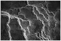 Travertine terrace detail, Mammoth Hot Springs. Yellowstone National Park ( black and white)