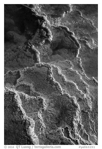 Detail of travertine terraces, Mammoth Hot Springs. Yellowstone National Park (black and white)