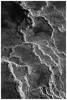 Detail of travertine terraces, Mammoth Hot Springs. Yellowstone National Park ( black and white)