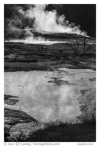 Backlit steam and pool, Main Terrace, Mammoth Hot Springs. Yellowstone National Park (black and white)