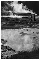 Backlit steam and pool, Main Terrace, Mammoth Hot Springs. Yellowstone National Park ( black and white)