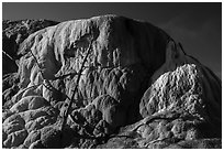 Orange Spring Mound, Mammoth Hot Springs. Yellowstone National Park ( black and white)