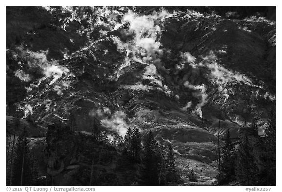 Roaring Mountain. Yellowstone National Park (black and white)