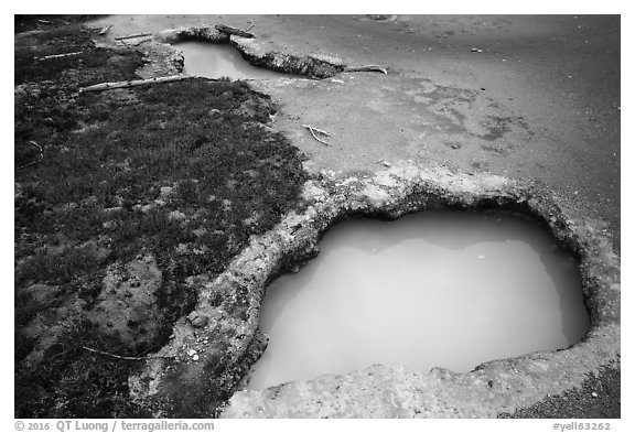 Turquoise mudpots, Artist Paint Pots. Yellowstone National Park (black and white)