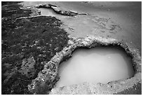 Turquoise mudpots, Artist Paint Pots. Yellowstone National Park ( black and white)