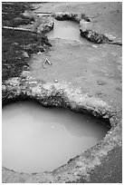 Mudpots, Artist Paint Pots thermal area. Yellowstone National Park ( black and white)