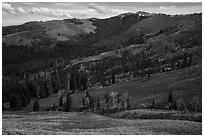 Mount Washburn. Yellowstone National Park ( black and white)