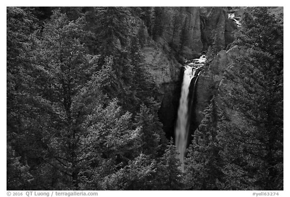 Tower Falls from above. Yellowstone National Park (black and white)