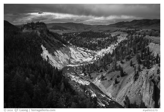 Yellowstone River. Yellowstone National Park (black and white)