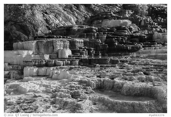 Palette Spring, Mammoth Hot Springs. Yellowstone National Park (black and white)