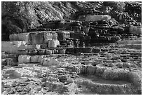 Palette Spring, Mammoth Hot Springs. Yellowstone National Park ( black and white)