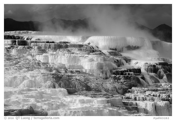 Active terraces at Canary Springs, steam, and mountains. Yellowstone National Park (black and white)