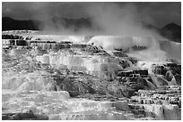 Active terraces at Canary Springs, steam, and mountains. Yellowstone National Park ( black and white)