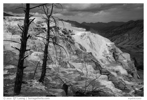 Canary Springs, afternoon. Yellowstone National Park (black and white)