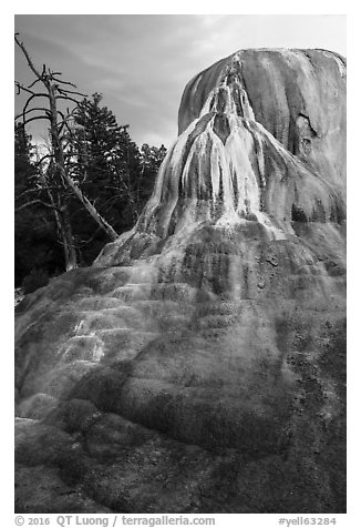 Orange Spring Mound, Mammoth Hot Springs. Yellowstone National Park (black and white)