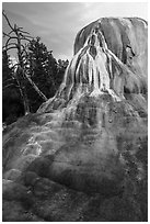 Orange Spring Mound, Mammoth Hot Springs. Yellowstone National Park ( black and white)