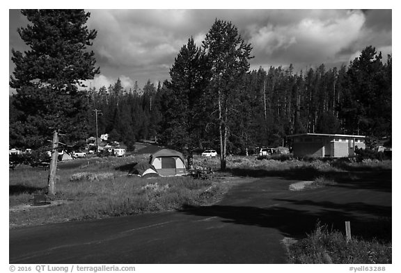 Bridge Bay Campground. Yellowstone National Park (black and white)