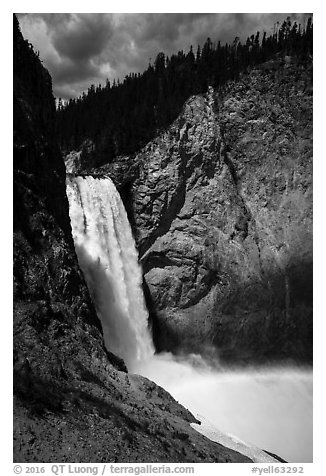 Lower Falls of the Yellowstone River from bottom. Yellowstone National Park (black and white)