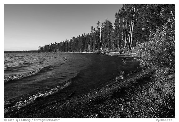Lewis Lake and surf. Yellowstone National Park (black and white)