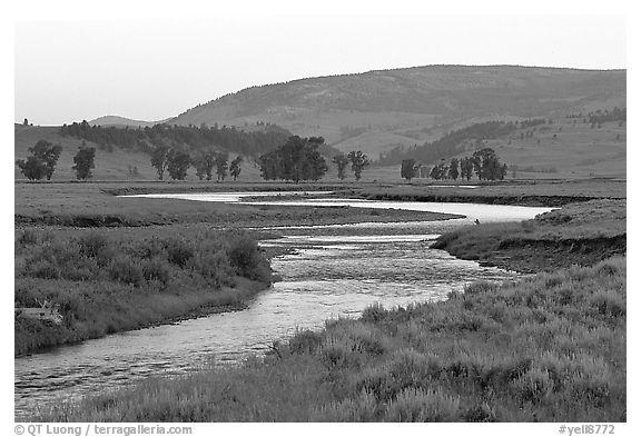 Soda Butte Creek, Lamar Valley, dawn. Yellowstone National Park, Wyoming, USA.