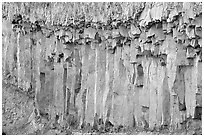 Basalt columns. Yellowstone National Park, Wyoming, USA. (black and white)