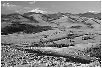 Bushes and rolling Hills in summer, Specimen ridge. Yellowstone National Park, Wyoming, USA. (black and white)