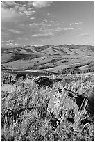 Rocks, grasses, and hills, Specimen ridge, late afternoon. Yellowstone National Park ( black and white)