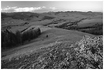 Rocks and flowers on Specimen ridge, sunset. Yellowstone National Park, Wyoming, USA. (black and white)