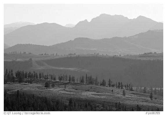 Backlit ridges of Absaroka Range from Dunraven Pass, early morning. Yellowstone National Park (black and white)