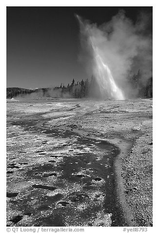 Daisy Geyser erupting at an angle. Yellowstone National Park, Wyoming, USA.